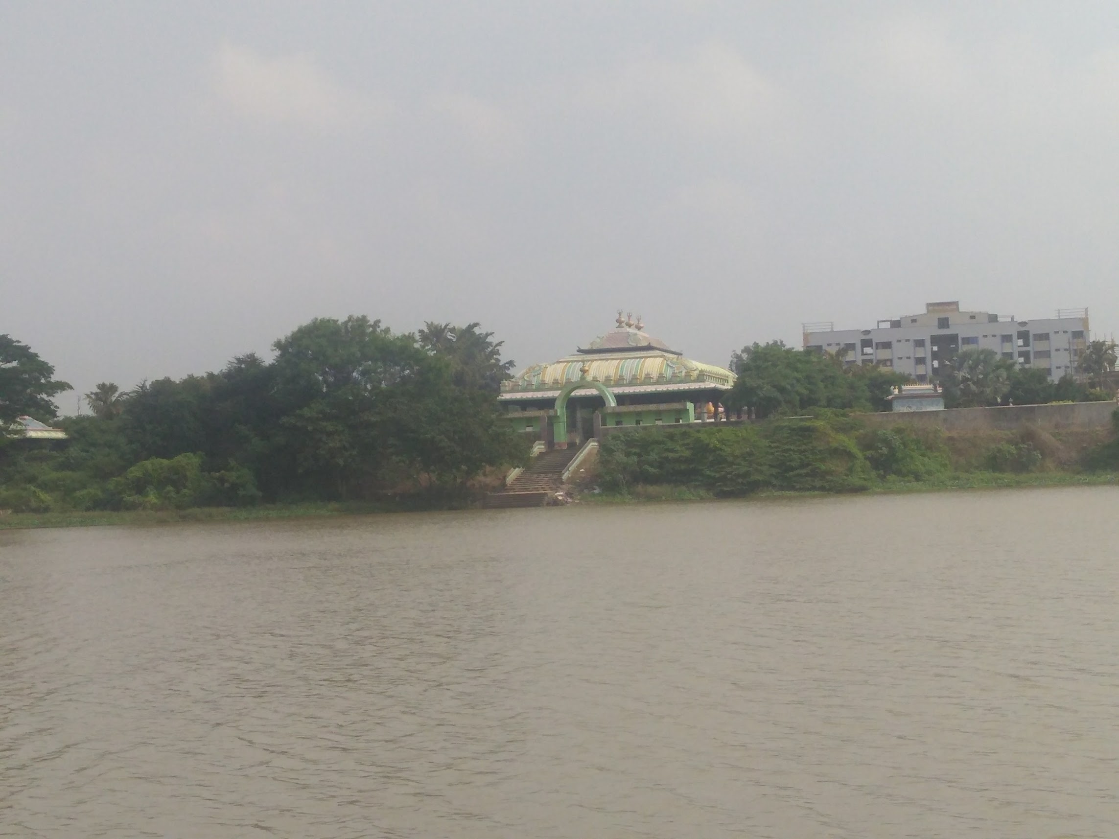 Image 3